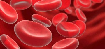 Норма гемоглобіну в крові у жінок