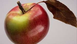 Скільки калорій в яблуці