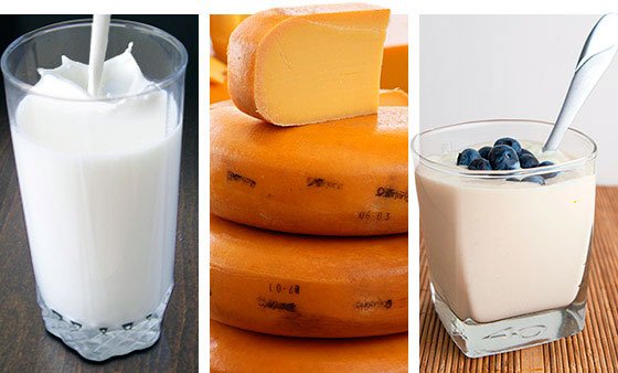 Корисно або шкідливо молоко для здоровя людини?