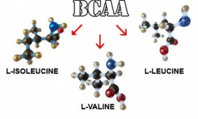 Бца (BCAA) спортивне харчування шкоду і користь