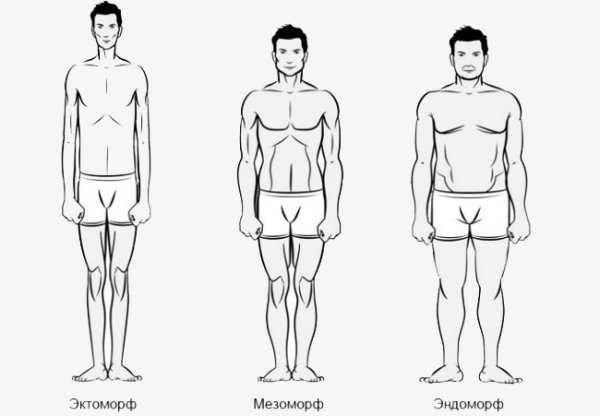 Як визначити чоловічий тип статури?