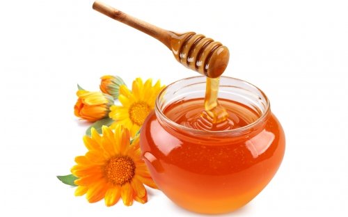 Користь і шкода меду