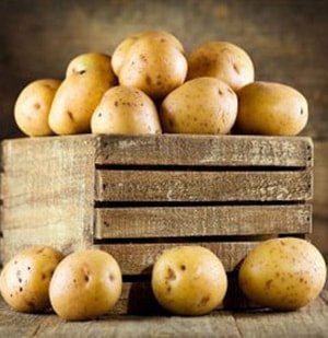 Картопля, його користь і шкоду на організм людини, калорійність