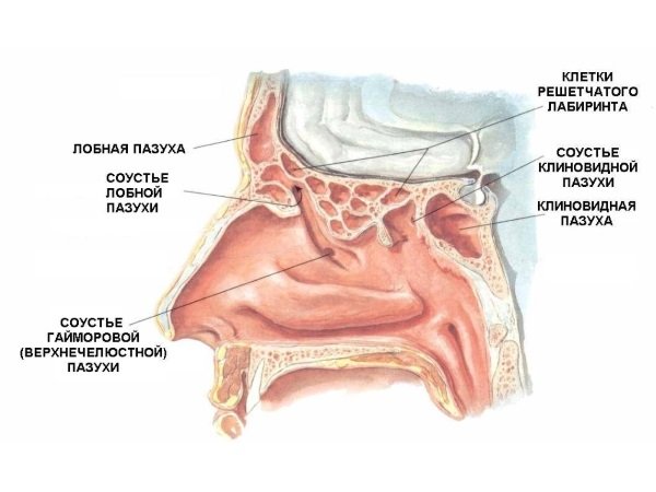 Нежить та інші ознаки застуди під час прорізування зубів