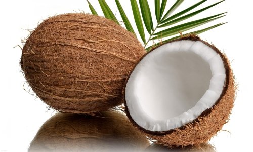 Чим корисний для організму кокос?