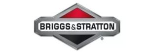 Бензинові газонокосарки з двигунами Briggs Stratton: характеристики, серії, фото і відео