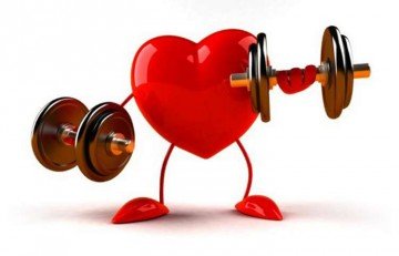 Основи виконання кардіотренувань та приклади вправ