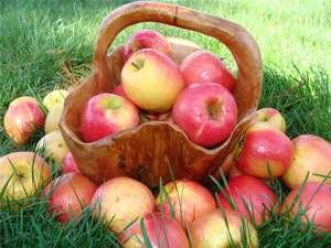 Скільки калорій в яблуці