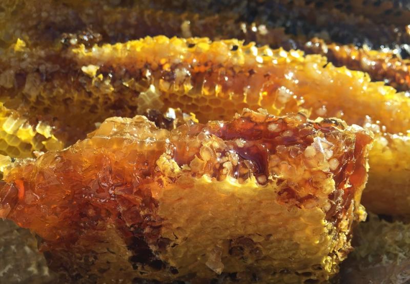 Корисні та цілющі властивості меду від А до Я. Яка користь меду для організму людини?