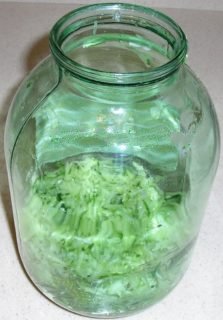 Як посолити огірки на зиму — найбільш прості покрокові рецепти. Засолювання огірків на 1 літр і 3 літрову банку