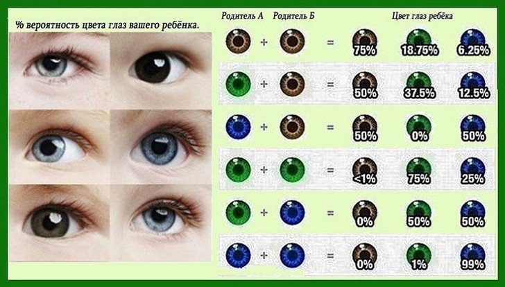 Який колір очей буде у новонародженої дитини, якщо у батьків вони карі, блакитні або зелені?
