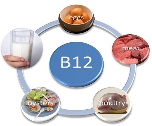 Для чого потрібен вітамін B12?