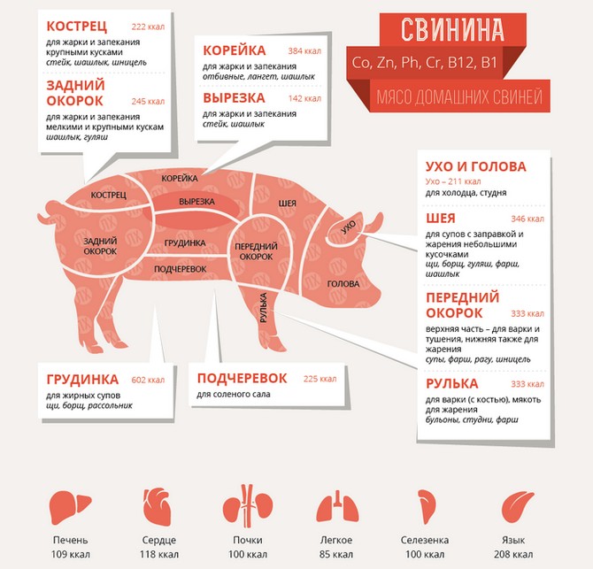 Шашлик з свинини: найсмачніший маринад, щоб мясо було мяким і соковитим