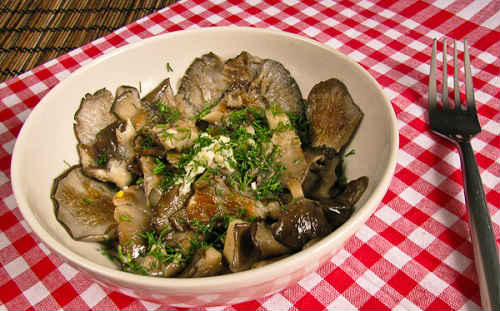 Гливи — рецепти приготування смажених, маринованих грибів у сметані, суп