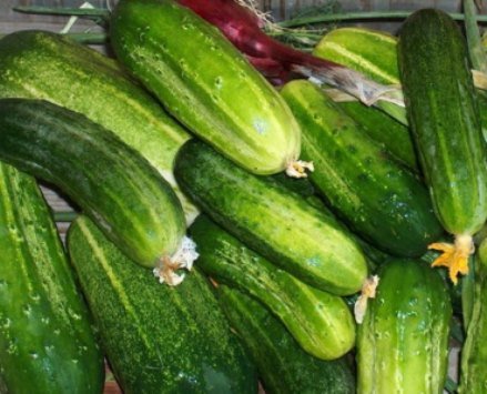 Помідори з огірками на зиму (овочеве асорті) | Смачні рецепти