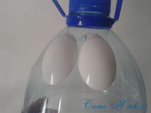 Як зробити годівницю для птахів з пластикової пляшки?