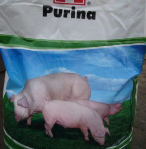 Комбікорм для свиней: склад, рецепти для приготування