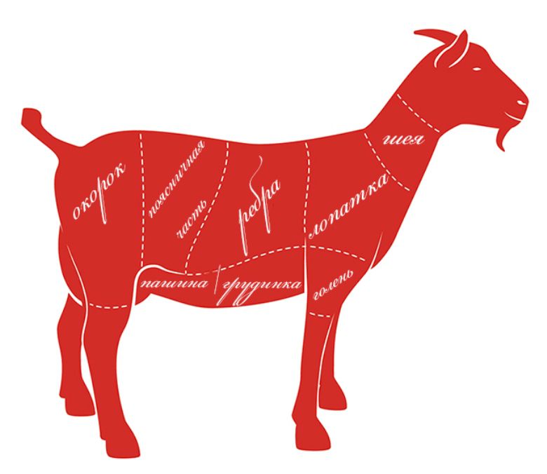 Козяче мясо вирощування і відгодівля на мясо кіз