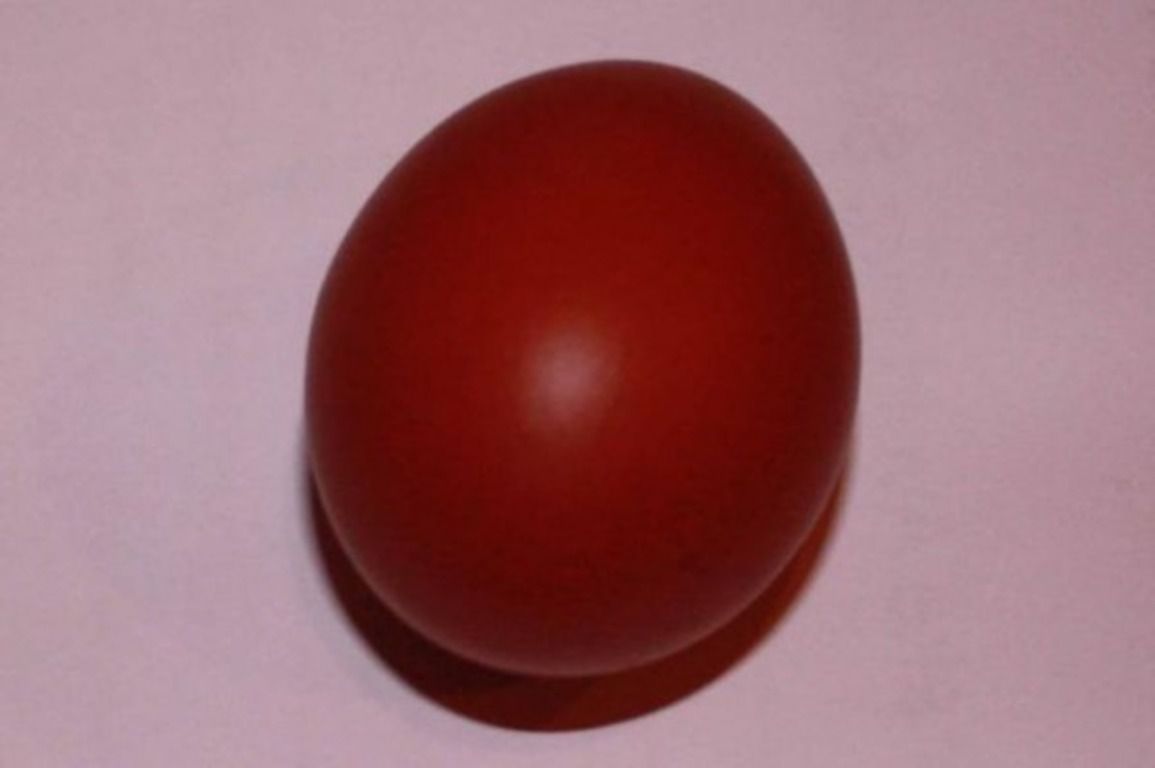 Від чого залежить колір шкаралупи курячого яйця: огляд причин