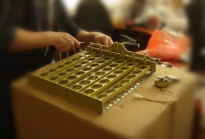 Автоматичні інкубатори для гусячих яєць: як вибрати і зробити