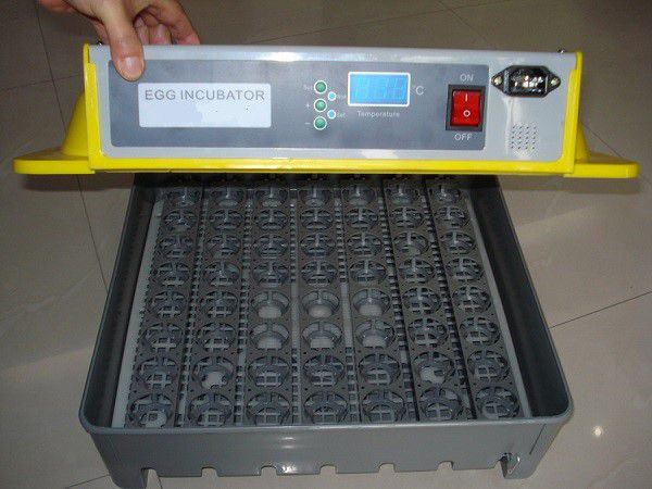 Автоматичний інкубатор для яєць: на що звернути увагу
