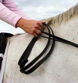 Як їздити на коні: правила і типові помилки