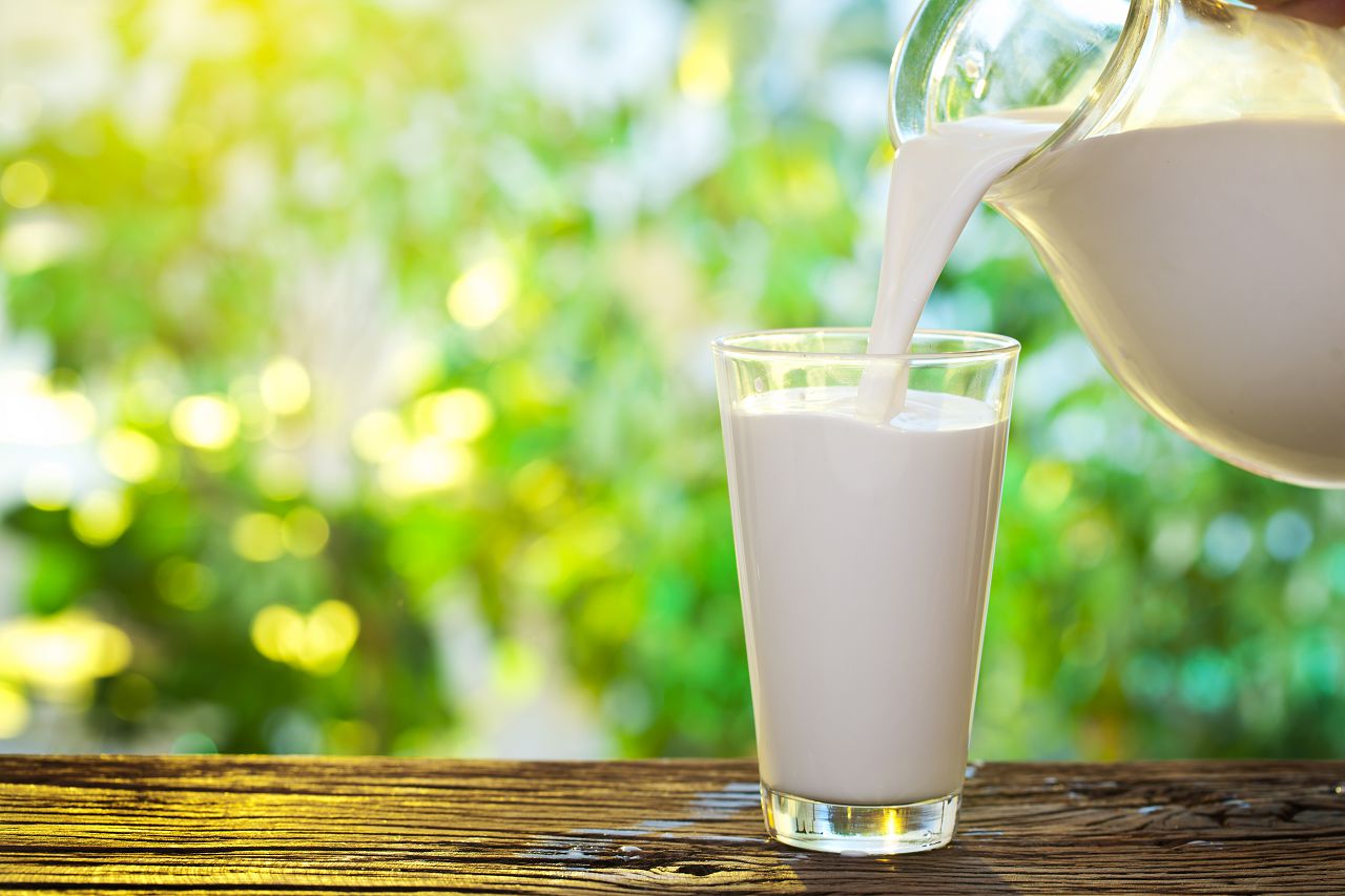 Чому гірчить молоко у корови і кози причини і методи рішення