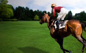 Як їздити на коні: правила і типові помилки