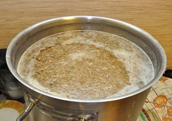 Брага із солоду для віскі: як правильно приготувати?