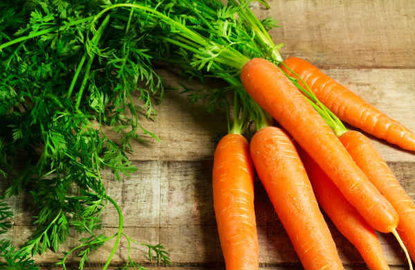 Морква – користь і шкода овочу для здоровя жінок, чоловіків і дітей