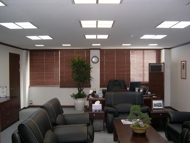 Грамотне офісне освітлення – ключ до продуктивної праці всього колективу і успіху всього підприємства