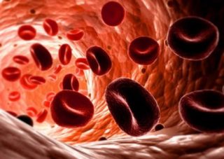 Низький гемоглобін: причини, симптоми, наслідки, лікування