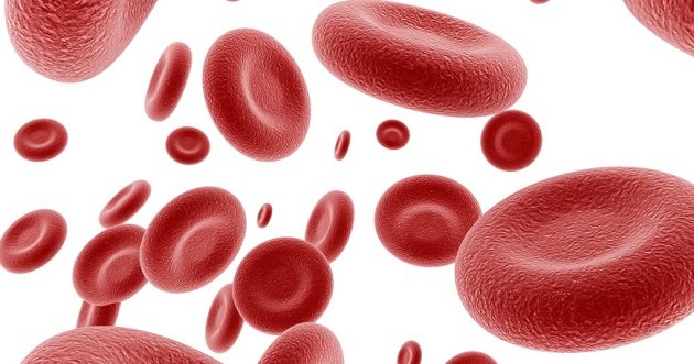Підвищені еритроцити в крові: причини, симптоми, лікування