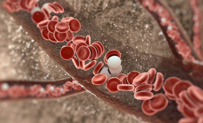 Яка норма лейкоцитів у крові у дорослого і дитини