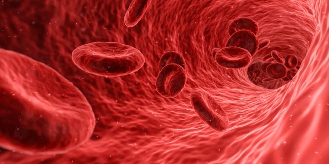 Підвищені еритроцити в крові: причини, симптоми, лікування
