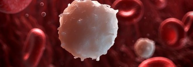 Яка норма лейкоцитів у крові у дорослого і дитини