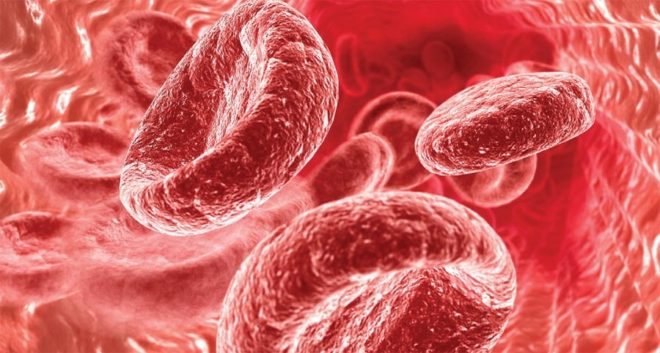 Які продукти підвищують гемоглобін у крові у дорослих і дітей