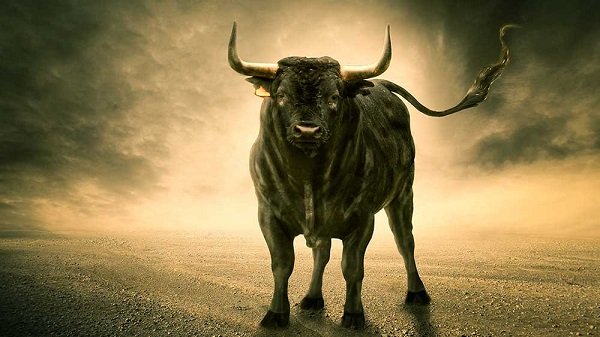 До чого сниться великий чорний бик?