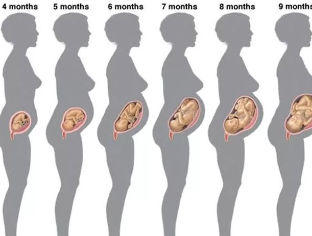 Пронос у першому триместрі вагітності Часто при вагітності