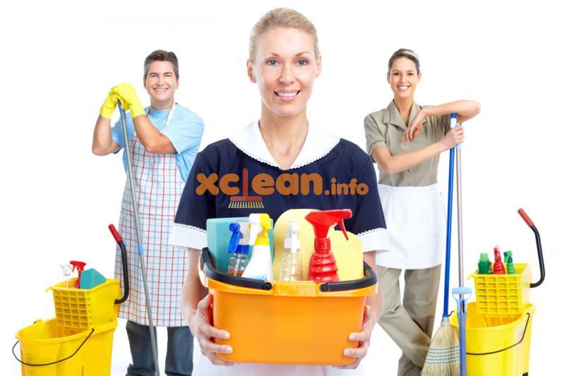 Правила проведення щоденної та генерального прибирання в будинку або квартирі – порядок дій і секрети якісного чищення