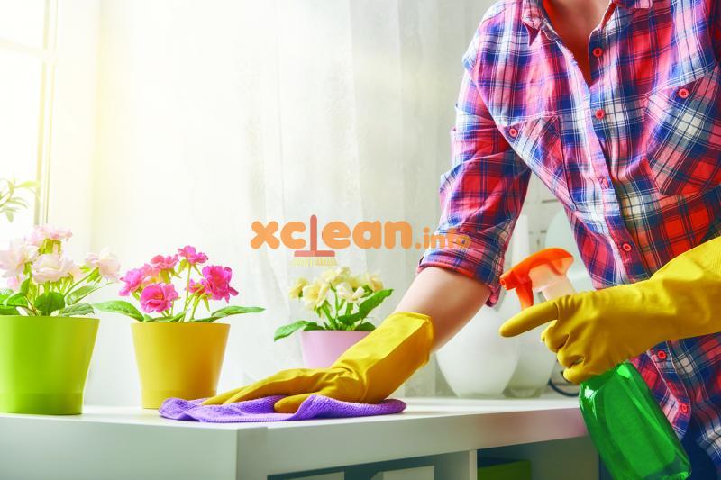 Підтримуємо чистоту і порядок в будинку і квартирі (витирання пилу, миття підлог, прибирання сміття, чистка в спальні і на кухні, догляд за санвузлом) – корисні поради