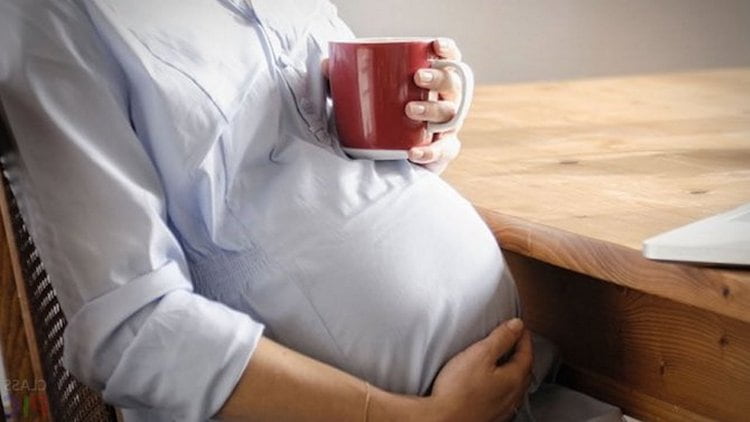 Іван чай при вагітності: користь і шкода