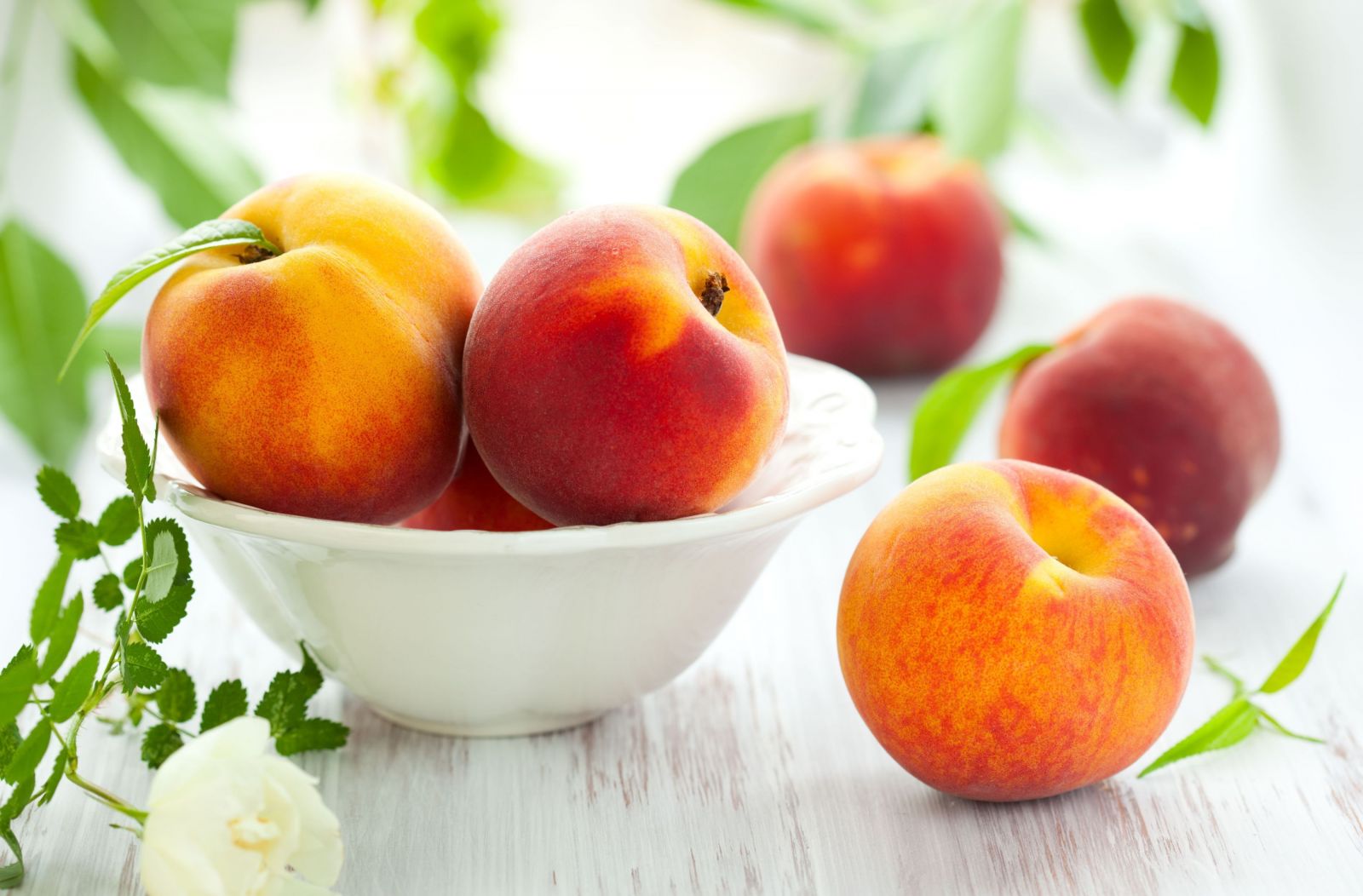 Користь і шкода персиків для організму людини