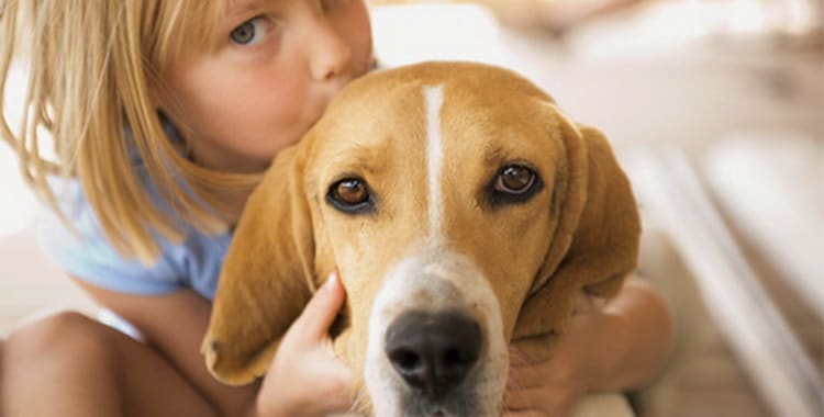 Алергія на собаку у дитини: симптоми, що робити