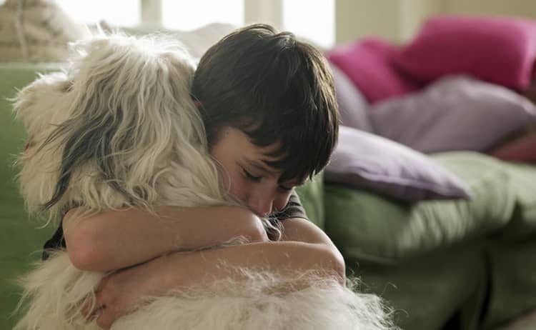 Алергія на собаку у дитини: симптоми, що робити