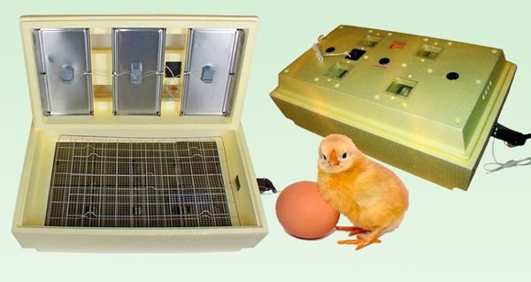 Інкубатор Попелюшка з автоматичним переворотом на 98, 70, 45, 28 яєць
