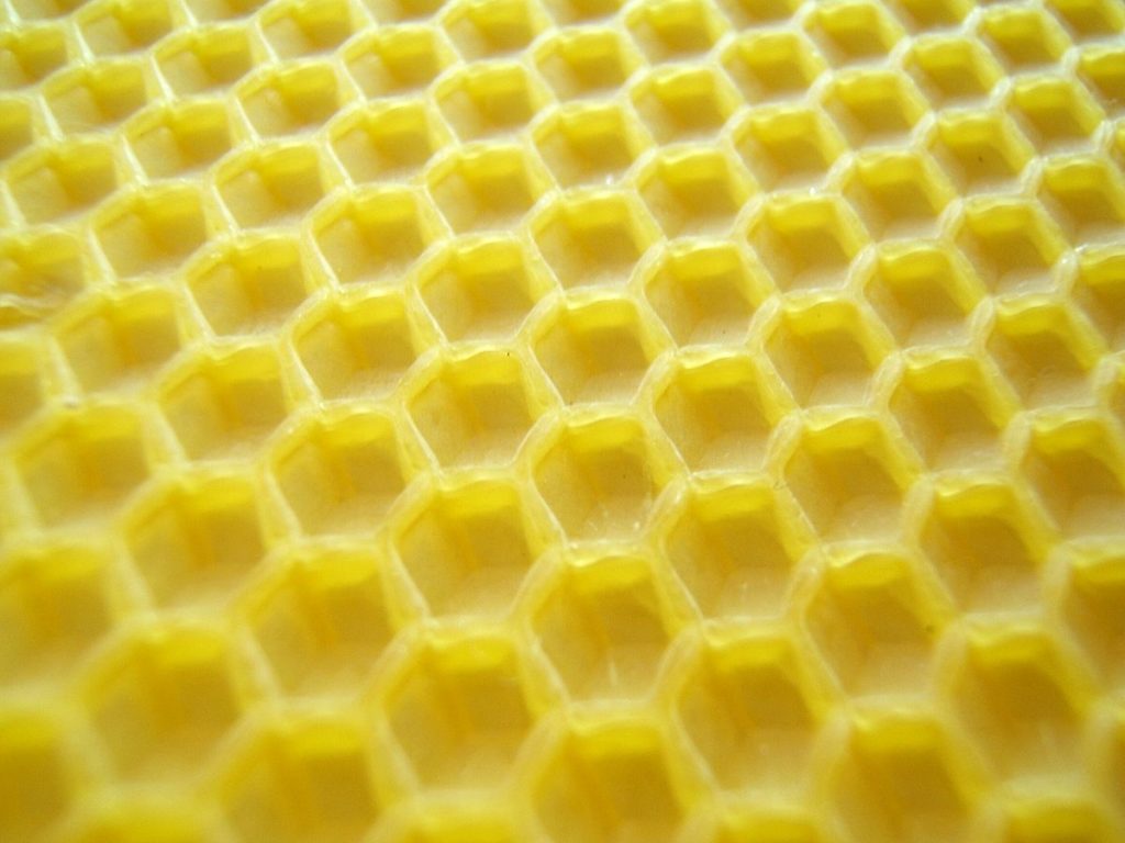 Як бджоли роблять мед і що таке соти