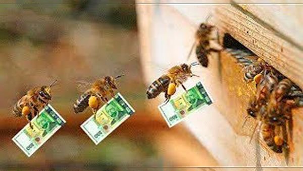Як зловити рій бджіл у пастку і пересадити у вулик