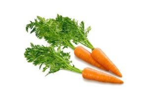 Посадка моркви під зиму: терміни посадки і догляд