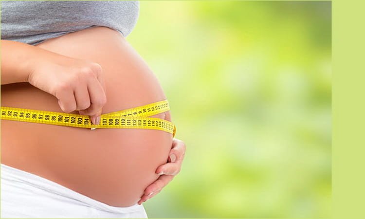Розмір живота по тижнях вагітності: норми